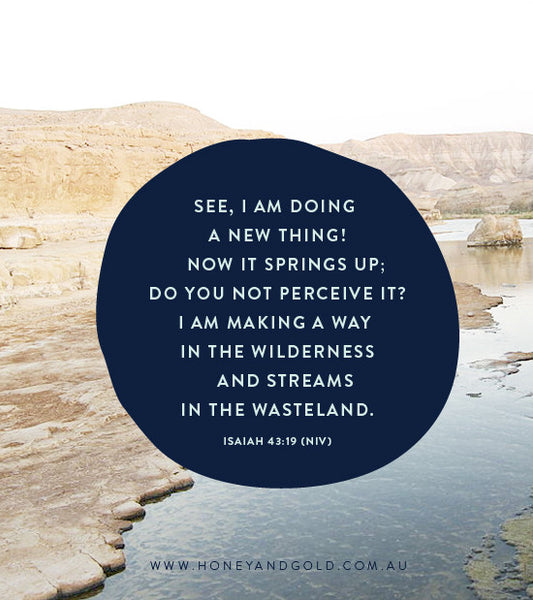 Man flu + Wastelands