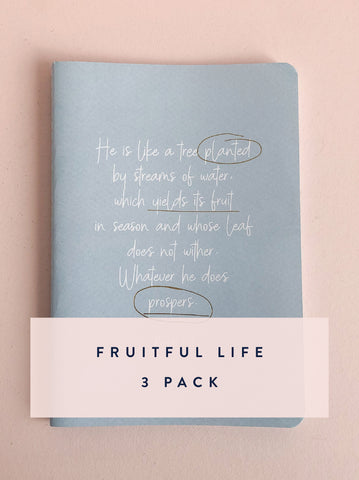 10 Minute Journal ~ Psalms ~ Fruitful Life