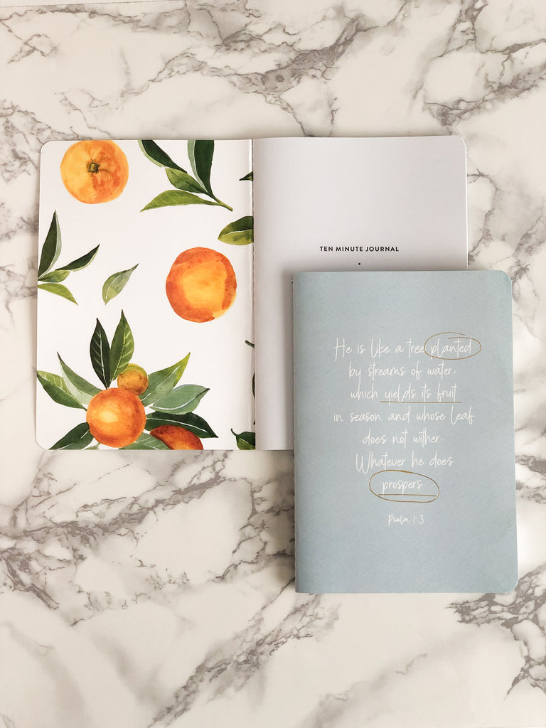 10 Minute Journal ~ Fruitful Life ~ 3 PACK
