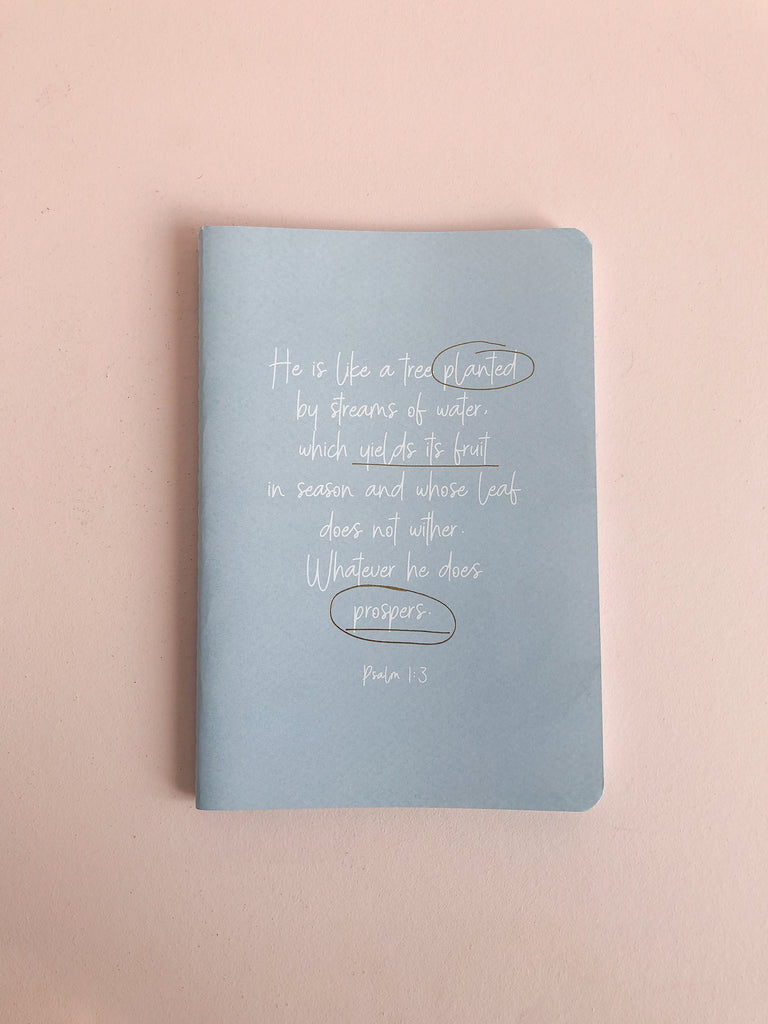 10 Minute Journal ~ Fruitful Life ~ 3 PACK