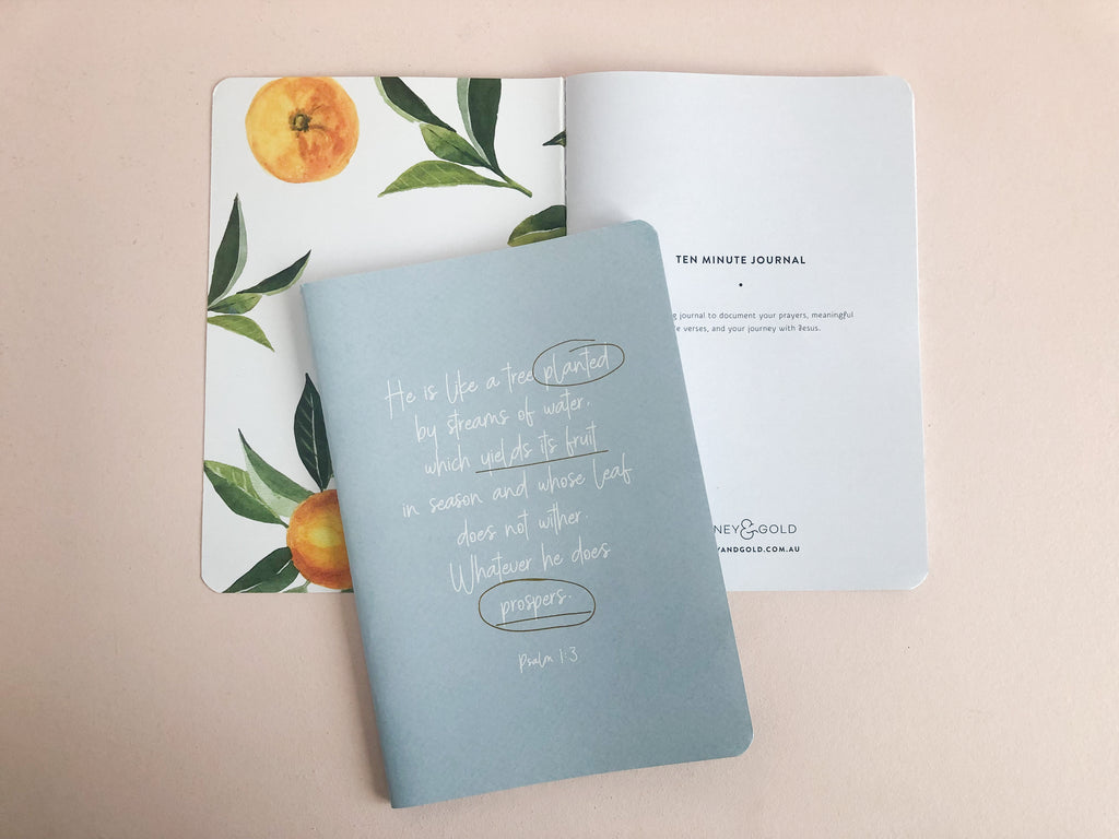 10 Minute Journal ~ Fruitful Life ~ 3 PACK